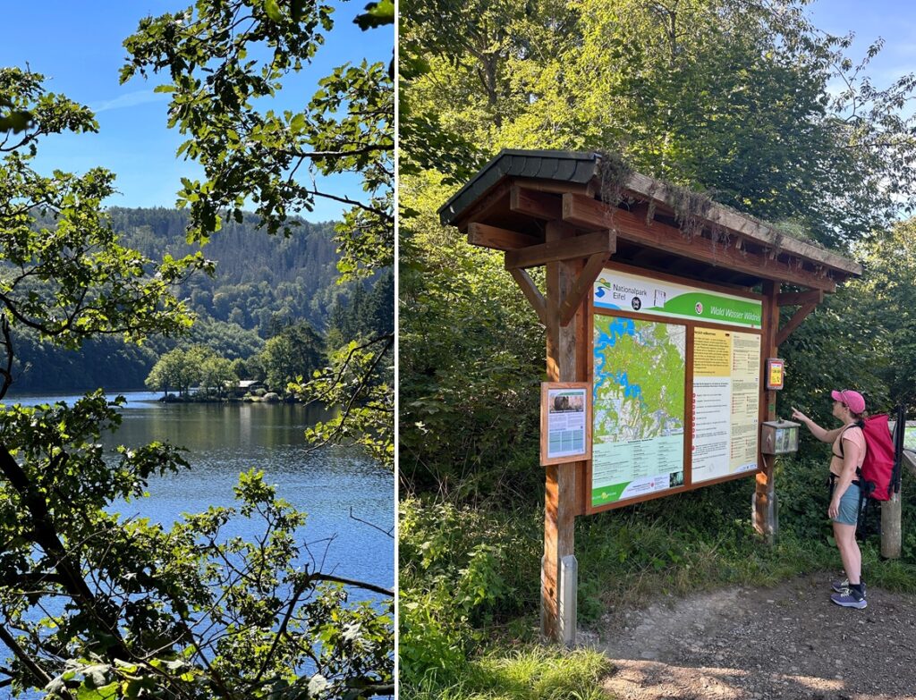 Vandrare som läser ledkartan vid ingången till Eifel nationalpark, Tyskland